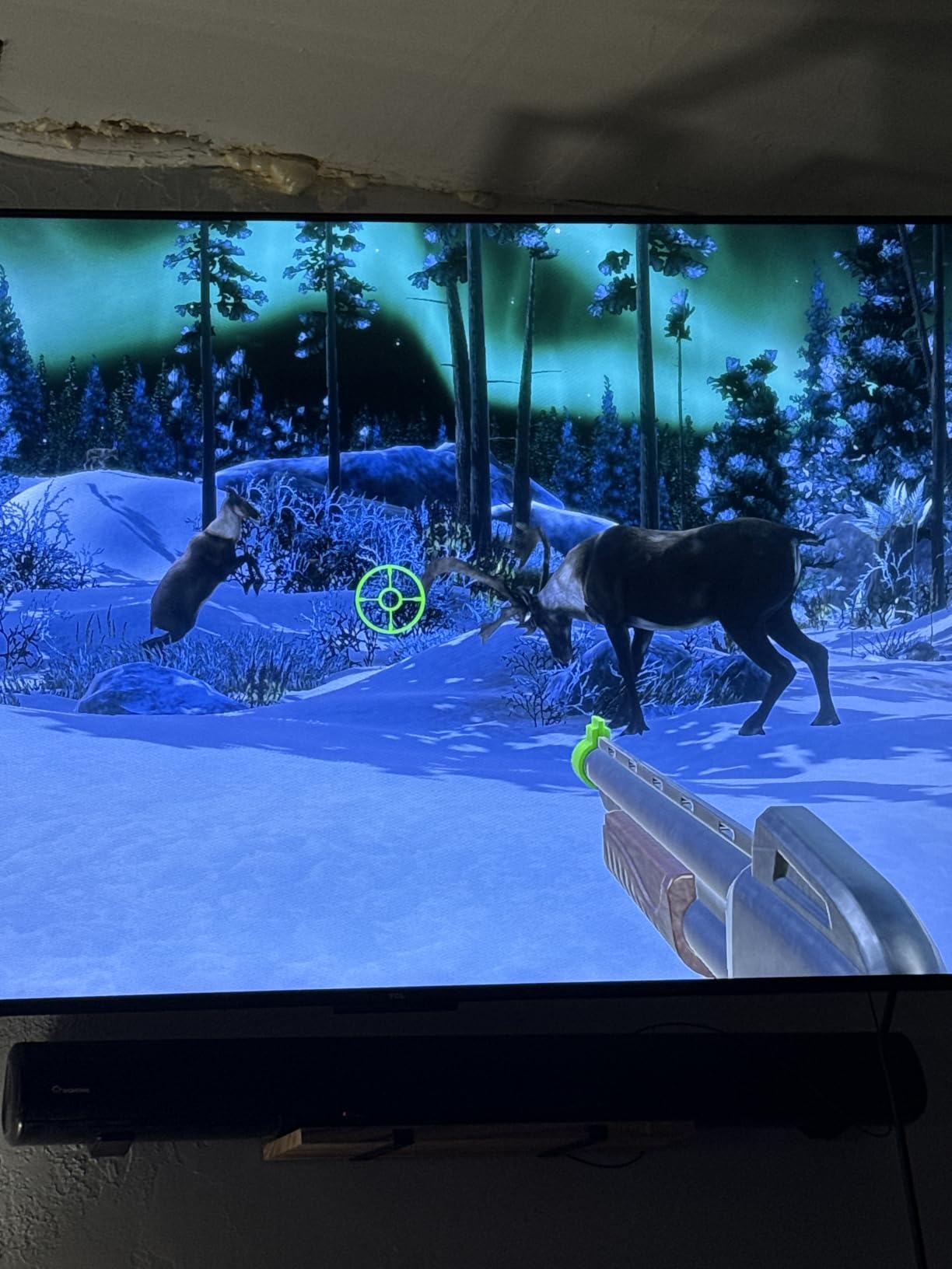 Big Buck Hunter: Ultimate Trophy - PlayStation 5 Customer Review Big Buck Hunter: Ultimate Trophy - PlayStation 5 - Customer Photo 1