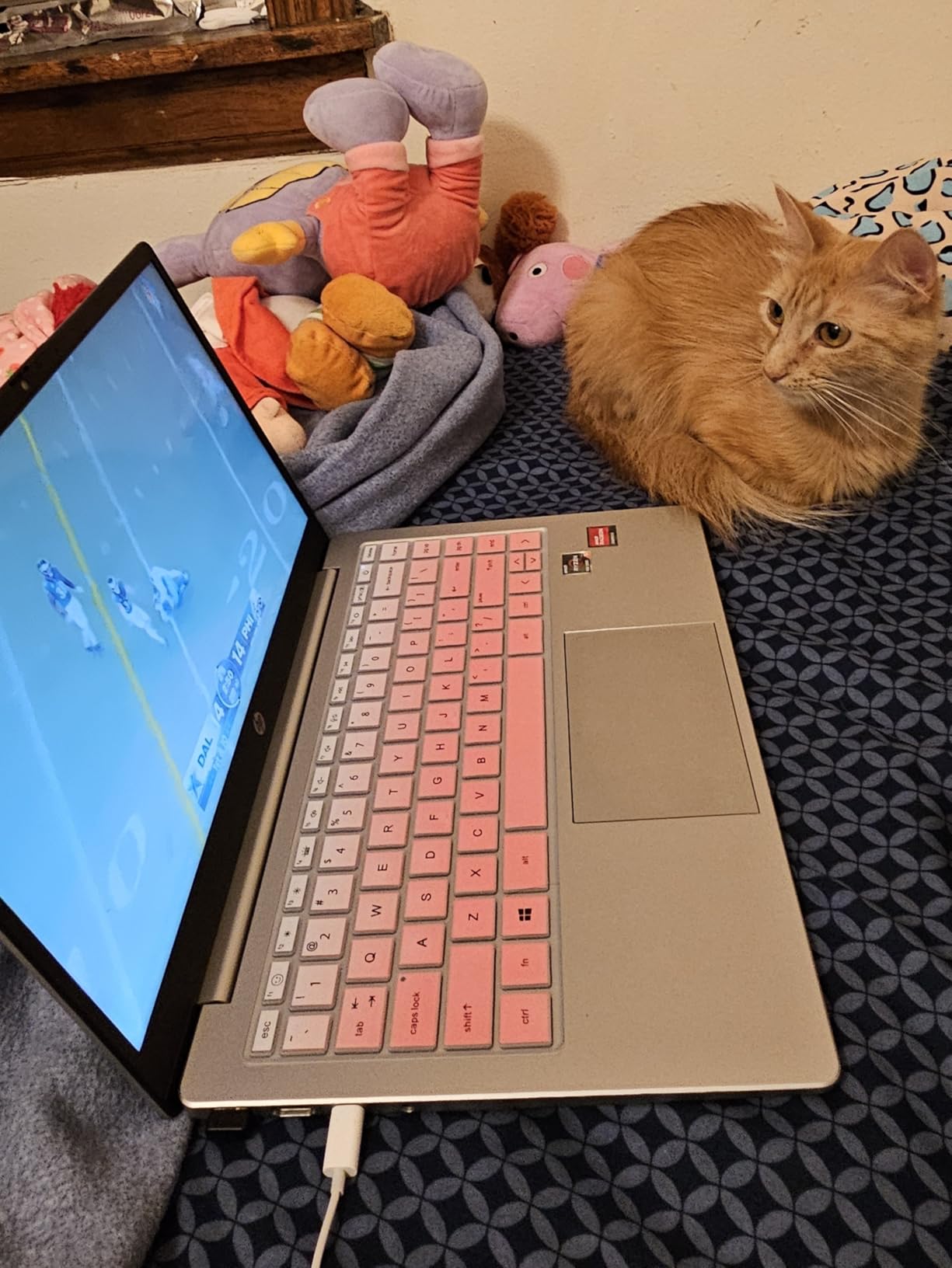 HP 14 inch Laptop, HD Touchscreen Display, AMD Ryzen 5 7520U, 8 GB RAM, 512 GB SSD, AMD Radeon Graphics, Windows 11 Home, Natural Silver, 14-em0499nr Customer Review HP 14 inch Laptop, HD Touchscreen Display, AMD Ryzen 5 7520U, 8 GB RAM, 512 GB SSD, AMD Radeon Graphics, Windows 11 Home, Natural Silver, 14-em0499nr - Customer Photo 4