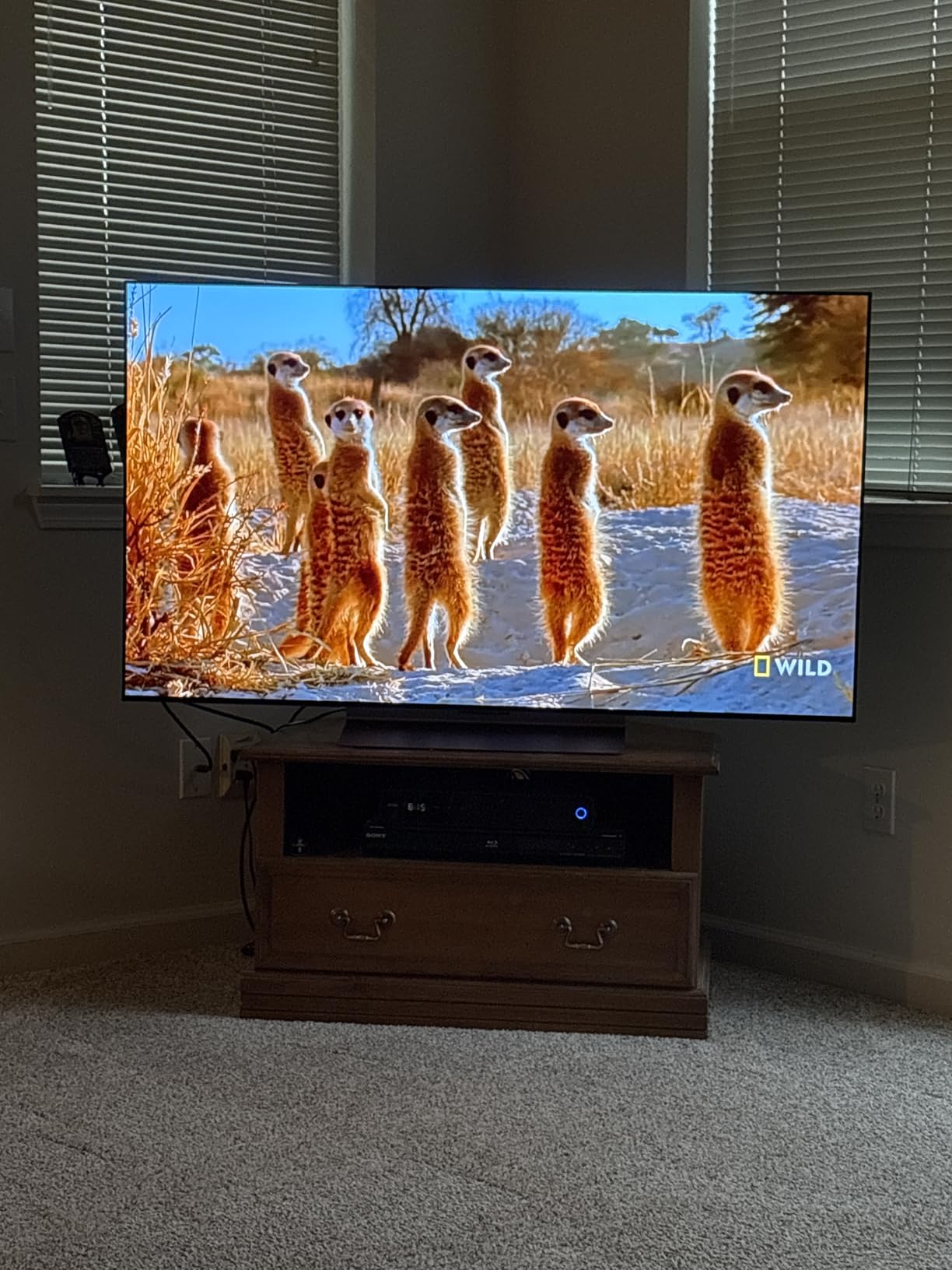 LG 55-Inch Class OLED evo AI 4K C5 Series Smart TV w/Dolby Atmos, Dolby Vision, HDR10, AI Super Upscaling 4K, Filmmaker Mode, Wow Orchestra, Alexa Built-in (OLED55C5PUA, 2025) Customer Review LG 55-Inch Class OLED evo AI 4K C5 Series Smart TV w/Dolby Atmos, Dolby Vision, HDR10, AI Super Upscaling 4K, Filmmaker Mode, Wow Orchestra, Alexa Built-in (OLED55C5PUA, 2025) - Customer Photo 5
