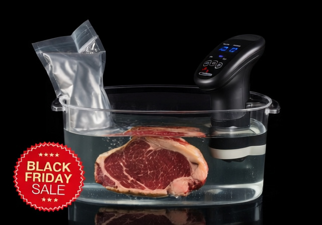 Best Black Friday Sous Vide Deals [cy]: 8 Top Models Tested - findingdulcinea