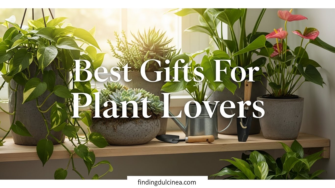 Best Gifts For Plant Lovers