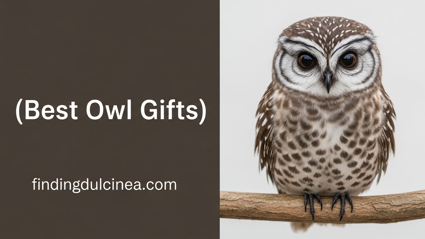 Best Owl Gifts