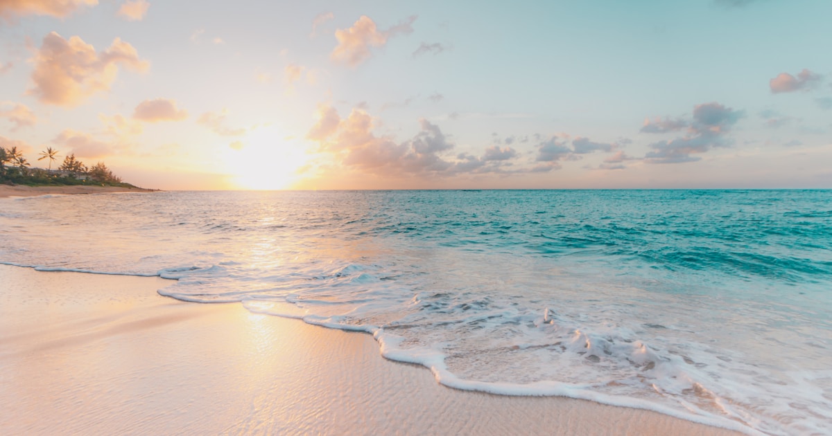 Best Beach Gifts [cy]: Complete Guide to Perfect Beach Presents - PropelRC