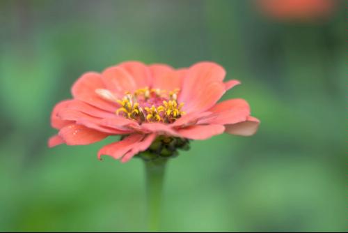 Canon TS-E 90mm f/2.8 Tilt Shift Lens for Canon SLR Cameras - Customer Photo 3