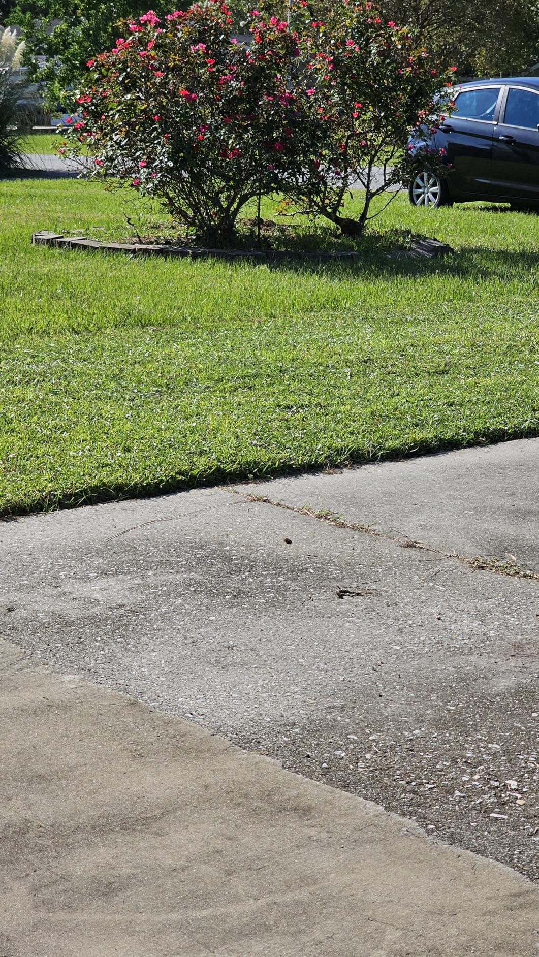 Great States 815-18 18-Inch 5-Blade Push Reel Lawn Mower, 18-Inch, 5-Blade, Grey Customer Review Great States 815-18 18-Inch 5-Blade Push Reel Lawn Mower, 18-Inch, 5-Blade, Grey - Customer Photo 1