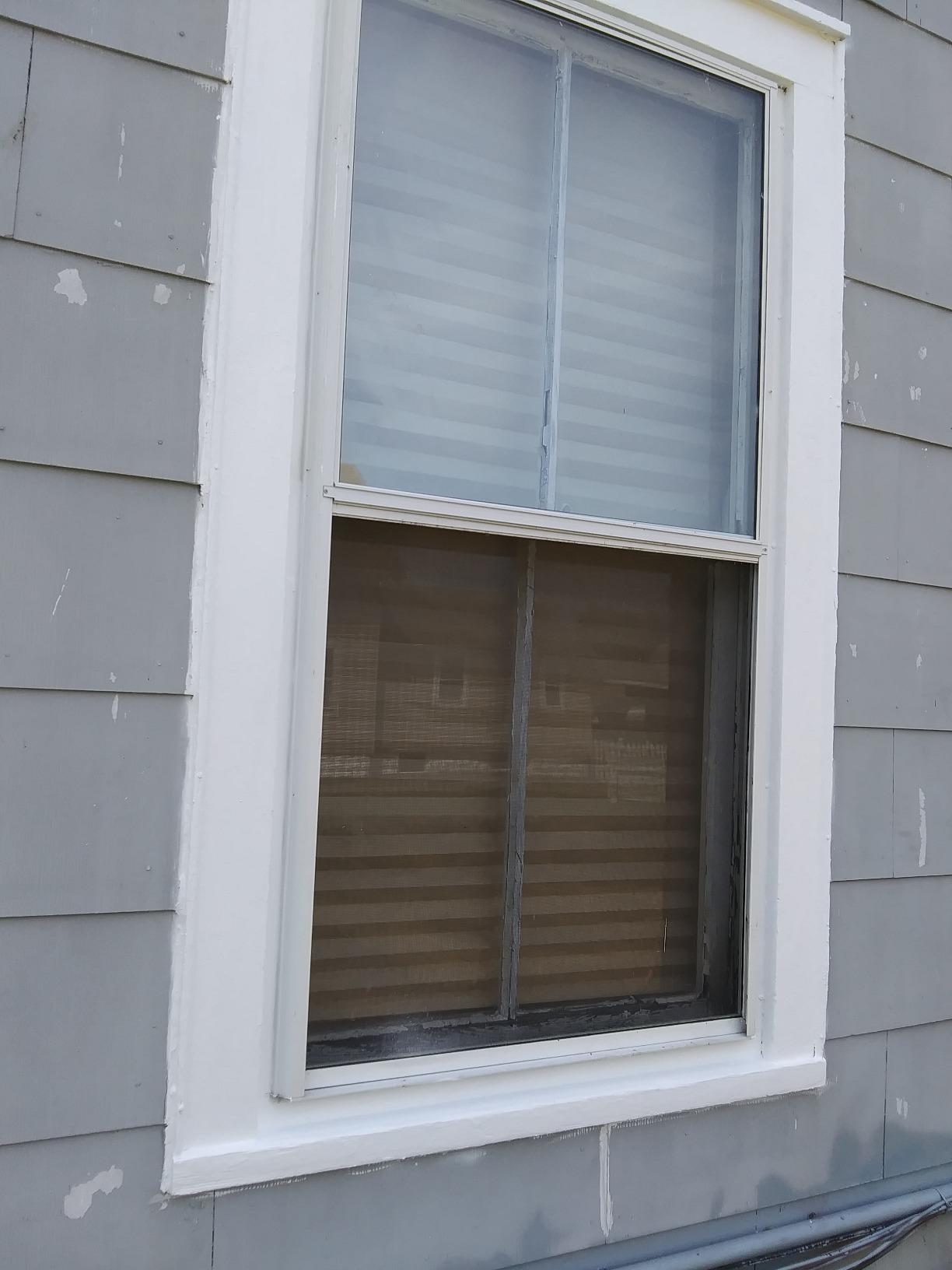 RUST-OLEUM 03101 Exterior Mildew Performance Paint, White Customer Review RUST-OLEUM 03101 Exterior Mildew Performance Paint, White - Customer Photo 2