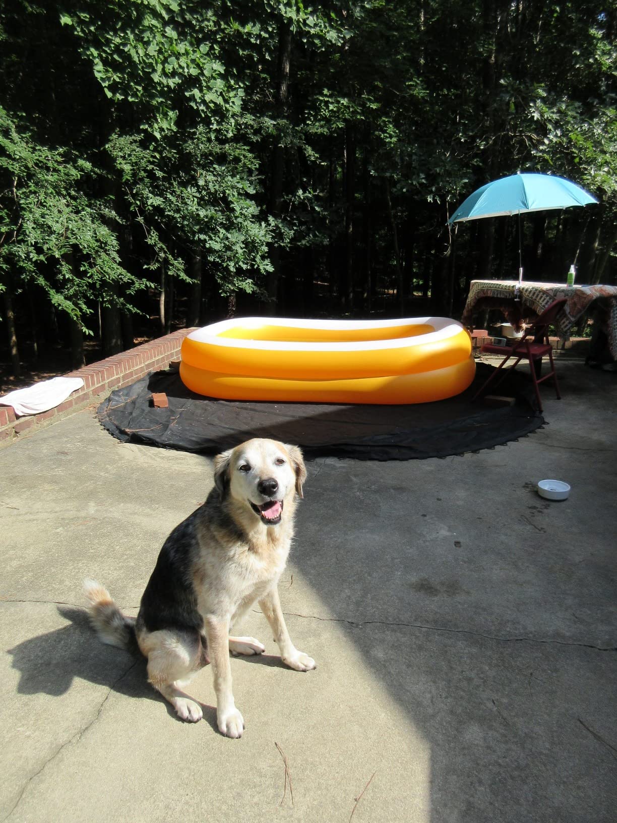 Intex 56483EP Inflatable 8.5' x 5.75' Swim Center Family Pool for 2-3 Kids, Backyard Splash Pool for Children 6+ Years Old, 198-Gallons, Blue & White - Customer Photo 2