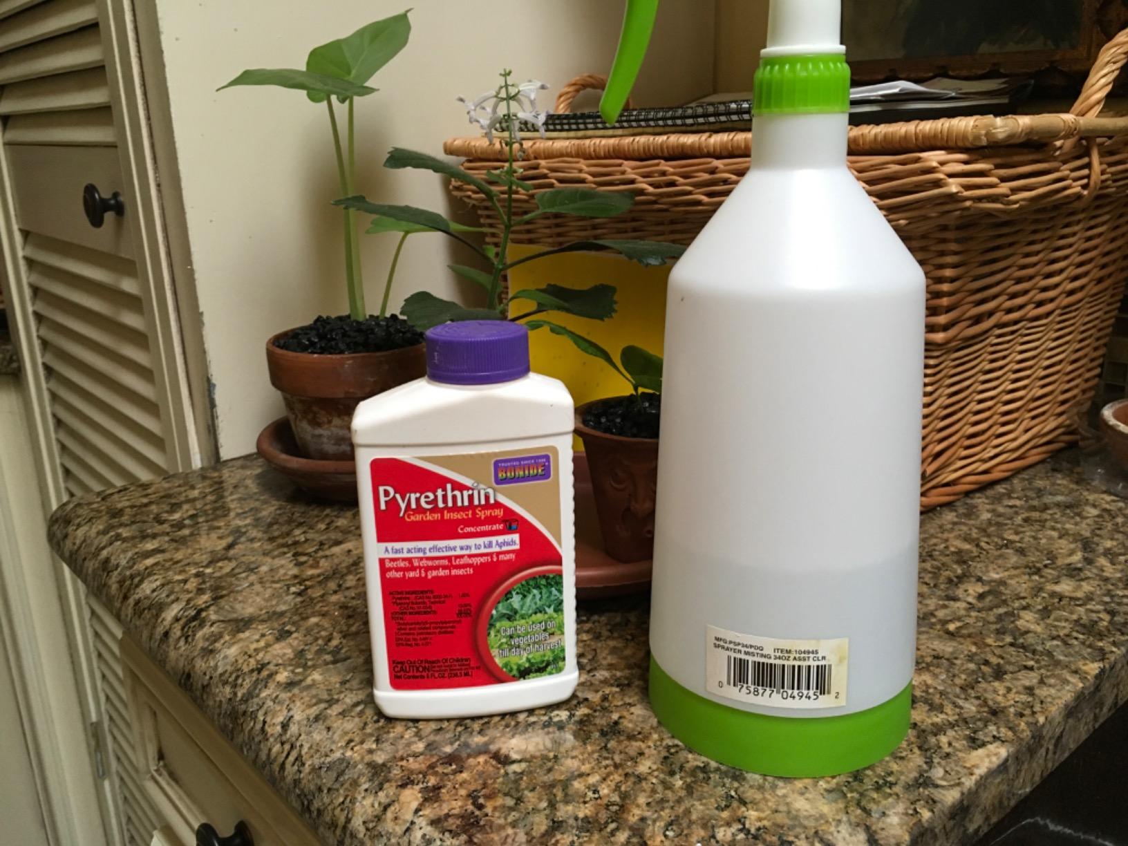Bonide Pyrethrin Garden Insect Spray Concentrate, 8 oz Ready-to-Mix Fast Acting Insecticide for Outdoor Garden Use - Customer Photo 2