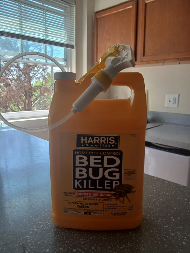 Best Bed Bug Sprays and Treatments