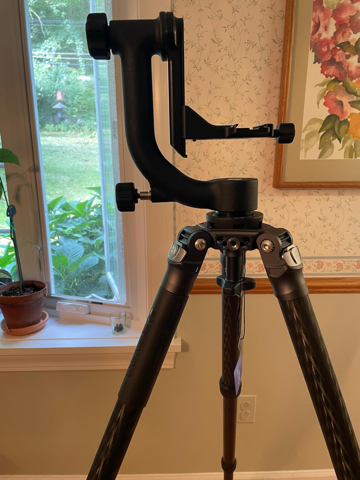 Wimberley WH-200 Wimberley Gimbal Head II - Made in USA Customer Review Wimberley WH-200 Wimberley Gimbal Head II - Made in USA - Customer Photo 1