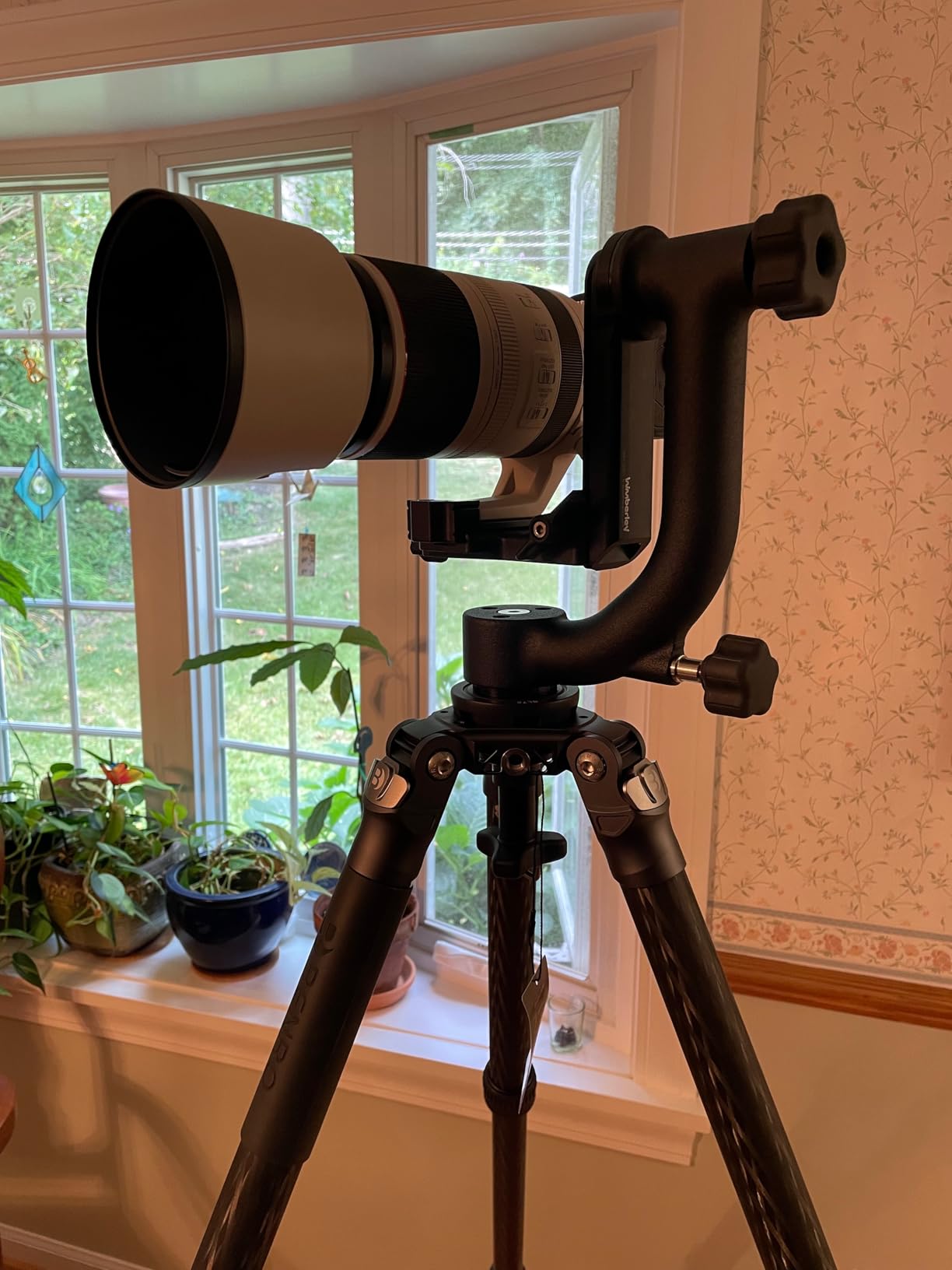 Wimberley WH-200 Wimberley Gimbal Head II - Made in USA Customer Review Wimberley WH-200 Wimberley Gimbal Head II - Made in USA - Customer Photo 2