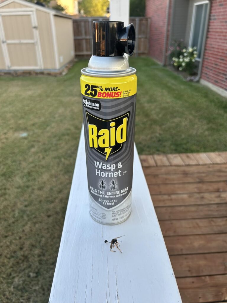 Best Wasp and Hornet Sprays