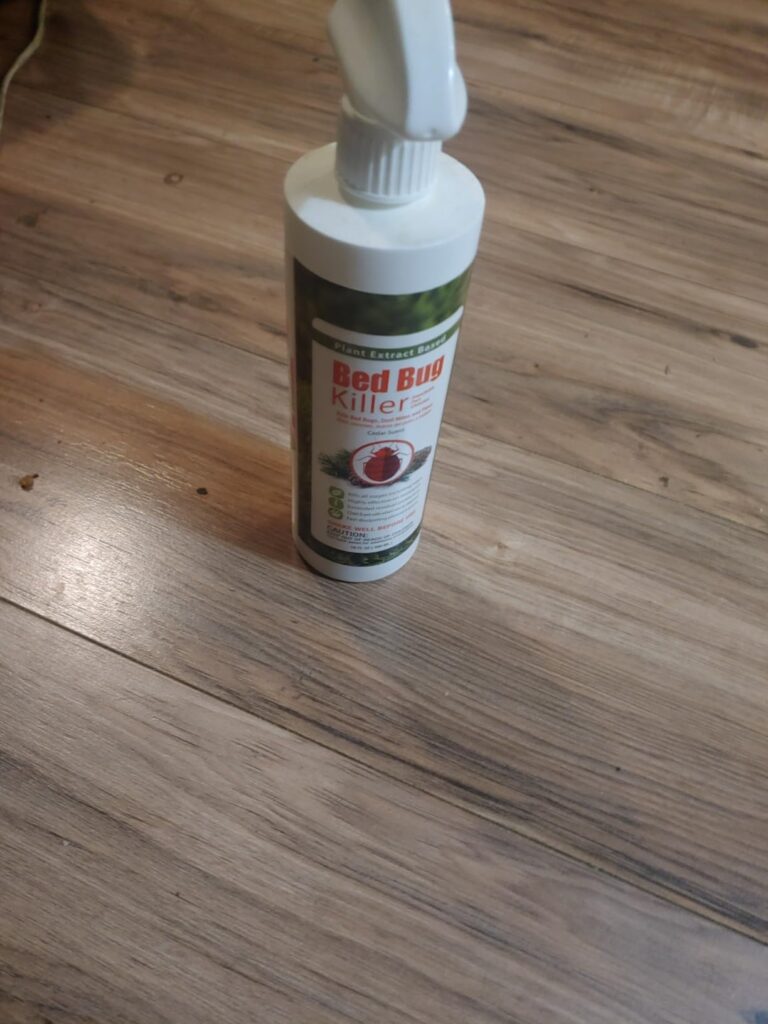 Best Bed Bug Sprays and Treatments