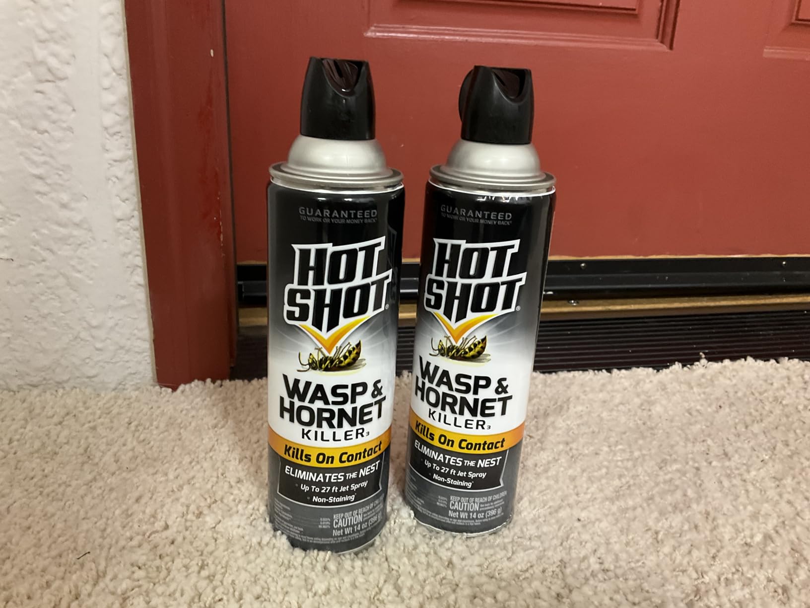 Hot Shot Wasp & Hornet Killer Spray, For Insects Eliminates the Nest, Sprays Up To 27 Feet, 14 fl Ounce, 2 Pack - Customer Photo 2