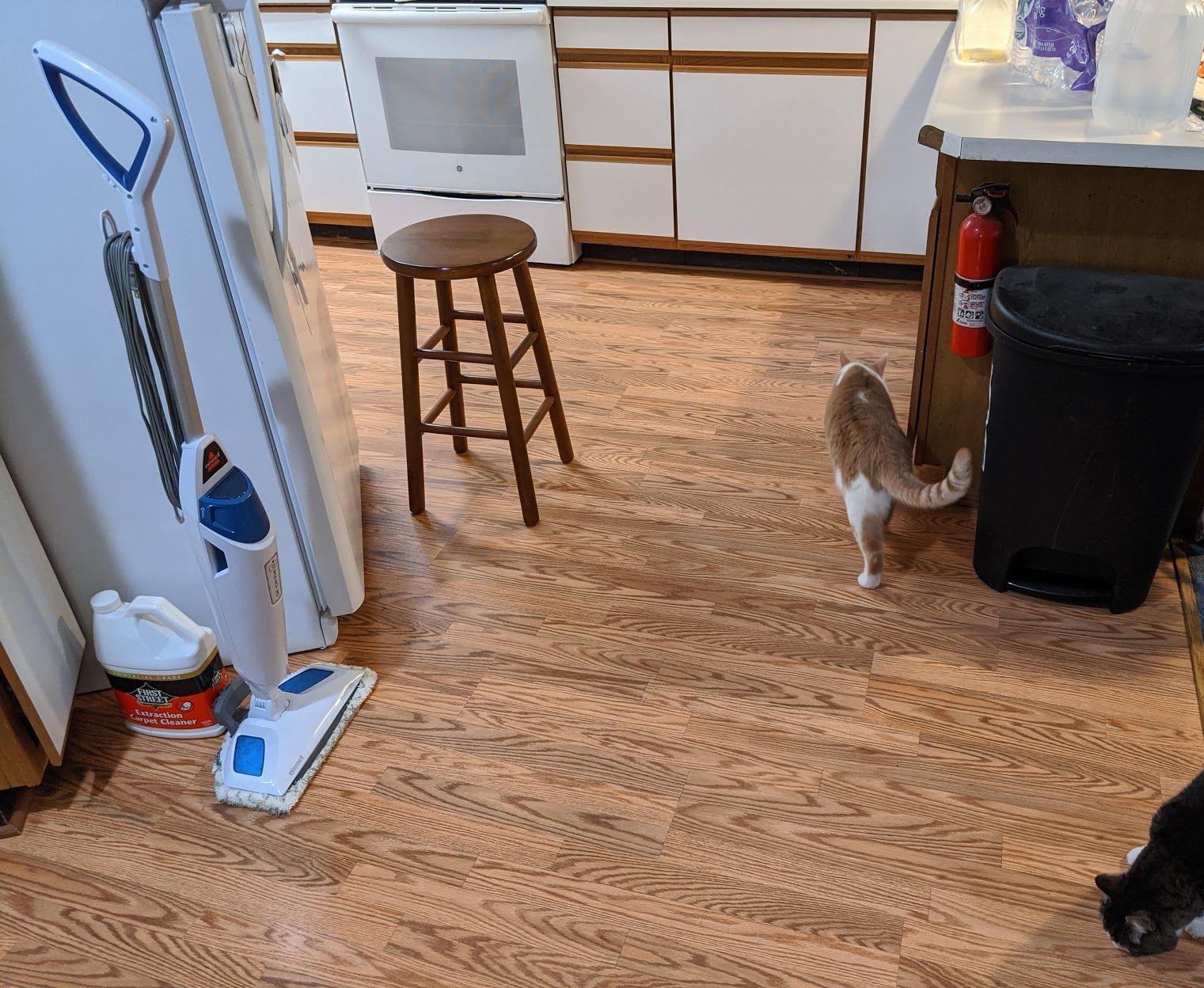 Bissell Power Fresh Steam Mop with Natural Sanitization, Floor Steamer, Tile Cleaner, and Hard Wood Floor Cleaner with Flip-Down Easy Scrubber, 1940A - Customer Photo 4