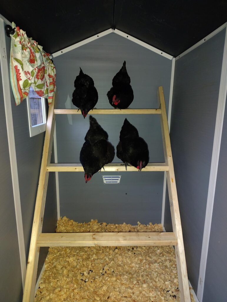 Best Resin Storage Sheds