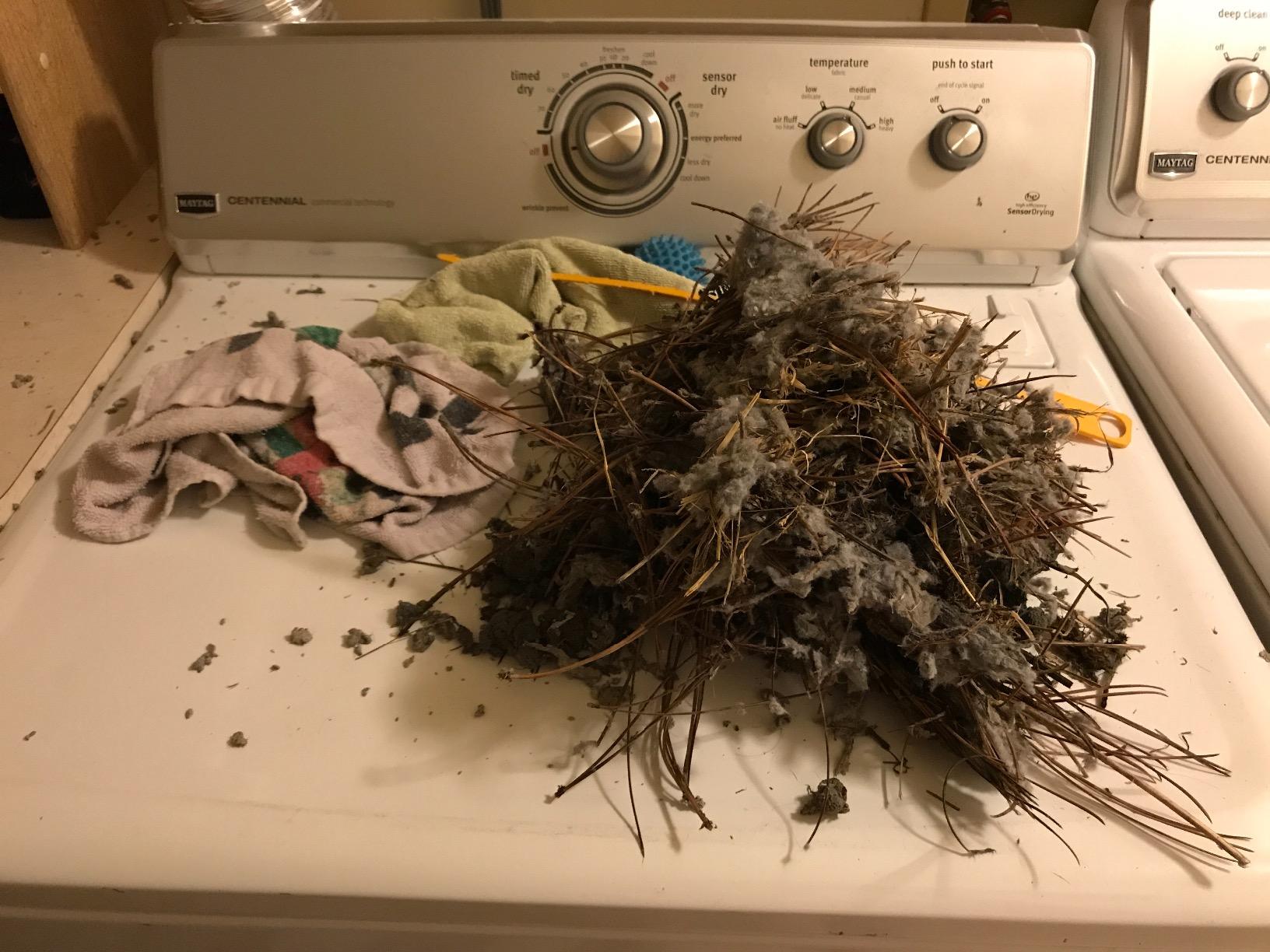 Deflecto DVBRUSH12K/6 Dryer Duct Cleaning Kit, Lint Remover, Extends up to 12 Feet, Synthetic Brush Head, Use with or without a Power Drill - Customer Photo 1