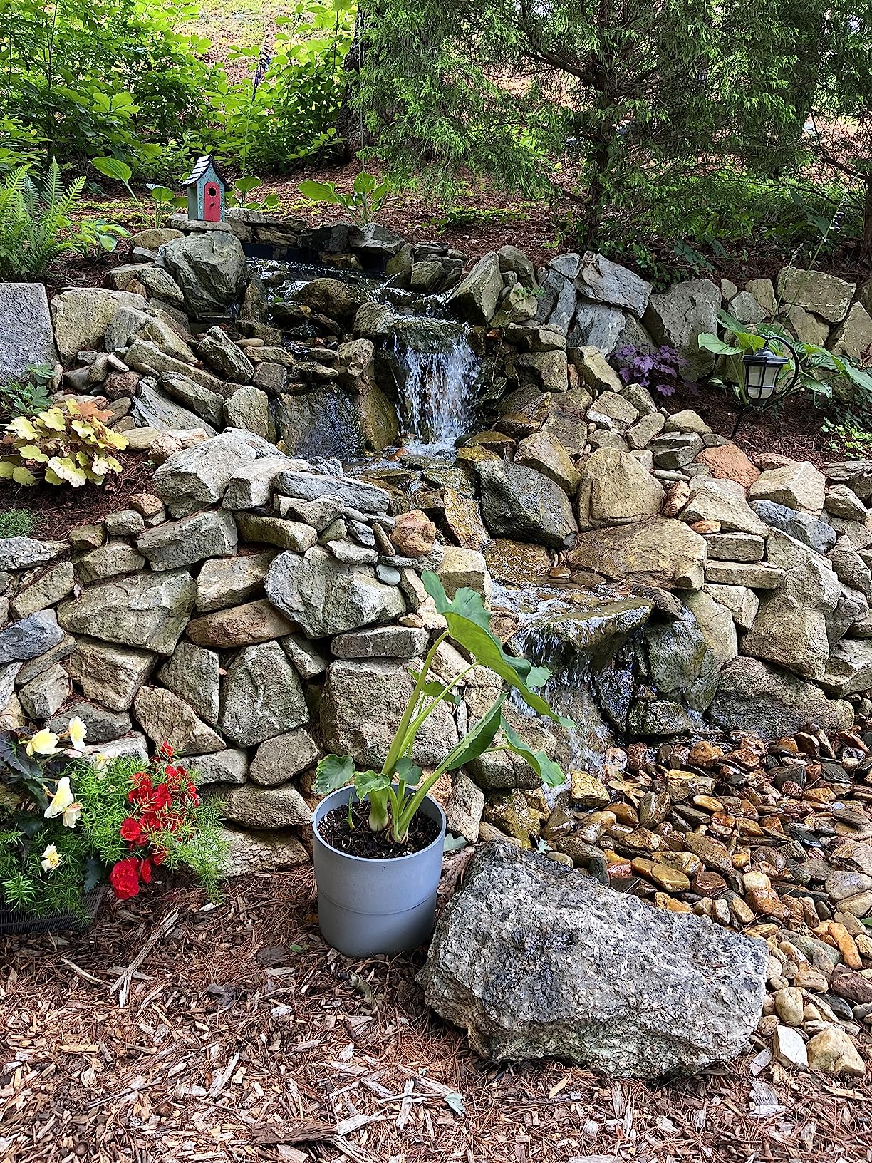 Best Waterfall Features for Gardens