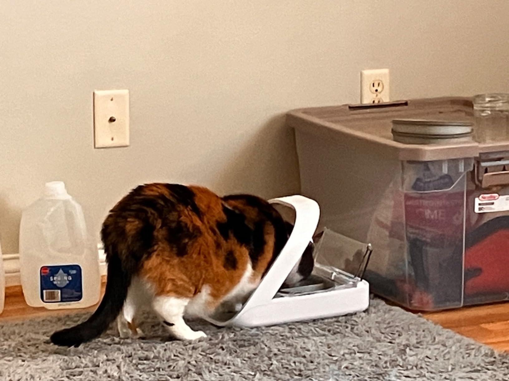 Sure Petcare SureFlap SureFeed Microchip Pet Feeder - Selective-Automatic Pet Feeder Makes Meal Times Stress-Free, Suitable for Both Wet and Dry Food customer photo 2