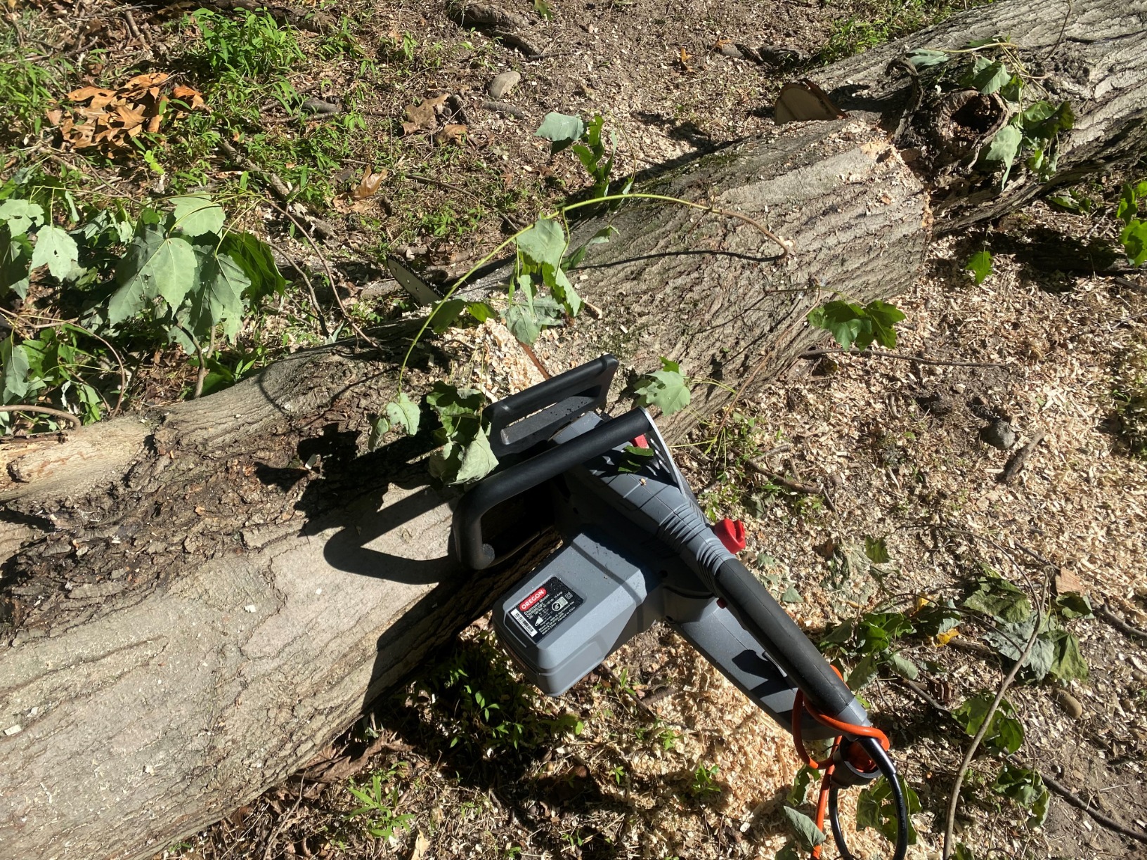 Oregon CS1500 Self-Sharpening Electric Chain Saw - Customer Photo 2