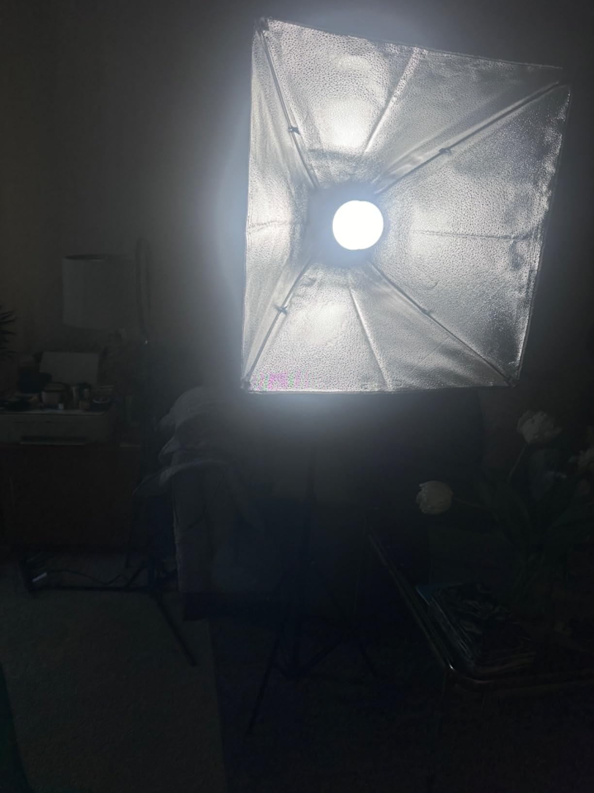 NEEWER Photography Lighting kit with Backdrops, 8.5x10ft Backdrop Stands, UL Certified 5700K 800W Equivalent 24W LED Umbrella Softbox Continuous Lighting, Photo Studio Equipment for Photo Video Shoot customer photo 2