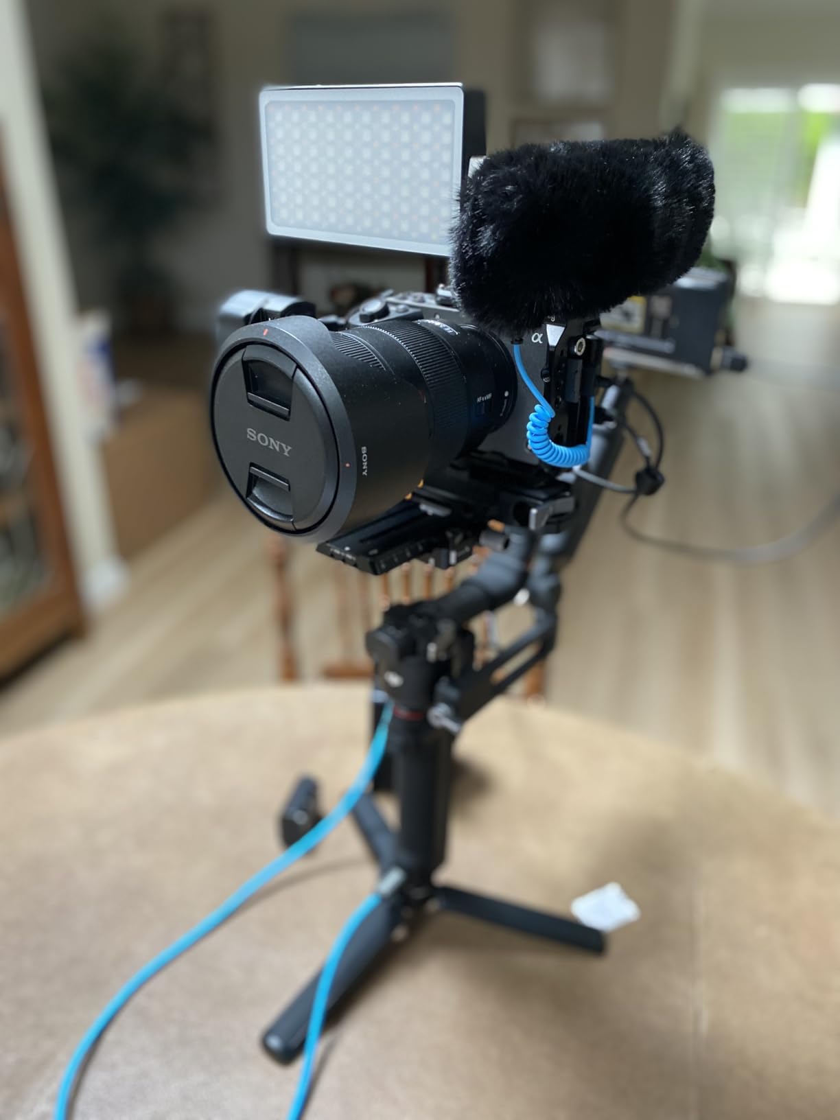 Sennheiser Professional MKE 440 Compact Stereo Shotgun Microphone with 3.5mm Connector for Cameras - Customer Photo 2