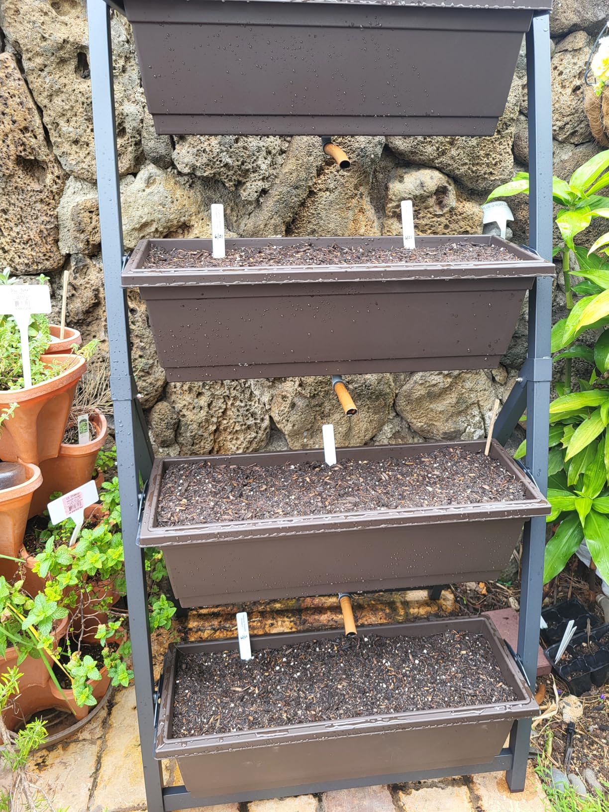 6-Ft Raised Garden Bed - Vertical Garden Freestanding Elevated Planter with 4 Container Boxes - Good for Patio or Balcony Indoor and Outdoor - Perfect to Grow Vegetables Herbs Flowers customer photo 2