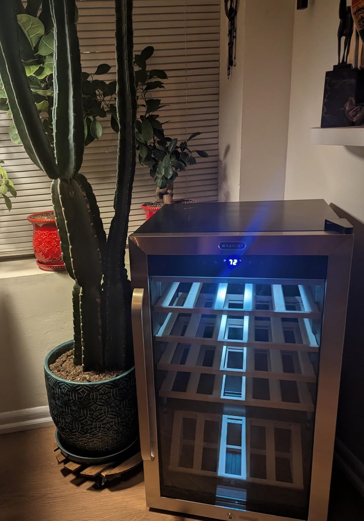 Whynter FWC-341TS 34 Bottle Freestanding Stainless Steel Wine Refrigerator with Display Shelf and Digital Control, Gray - Customer Photo 2