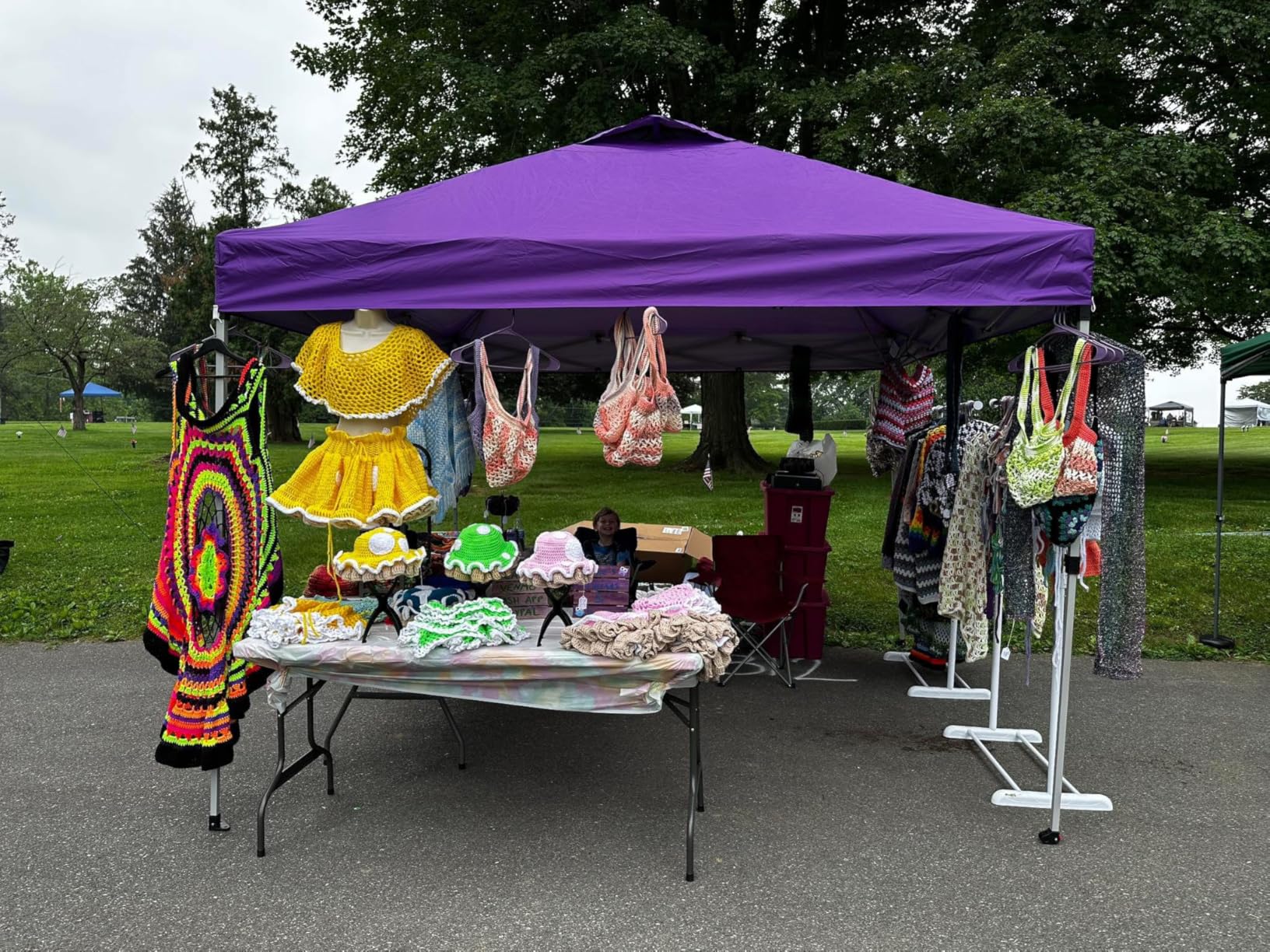 CROWN SHADES 10x10 Pop Up Canopy, Patented Center Lock One Push Tent Canopy, Newly Designed Storage Bag, 8 Stakes, 4 Ropes (10x10, White) customer photo 1