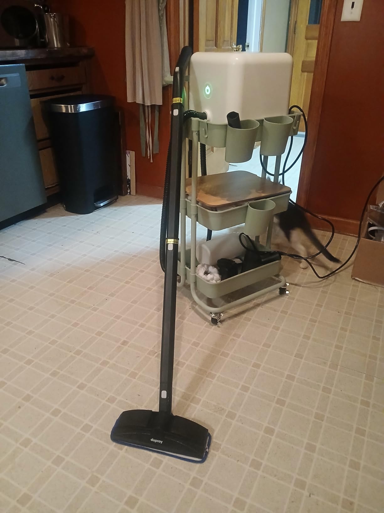 Dupray Neat Steam Cleaner with 17-Piece Kit - Powerful, Chemical-Free Cleaning for Floors, Cars, Tiles, Upholstery, Kitchen, Bathroom Grout, Carpets & More - Kills up to 99.9% of Bacteria & Viruses customer photo 2