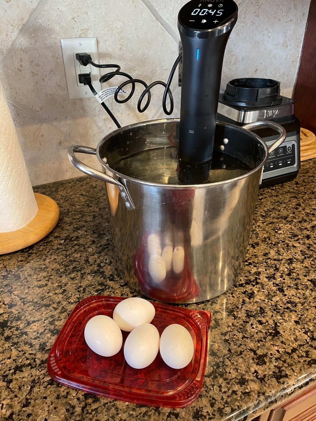 Anova Culinary Sous Vide Precision Cooker Nano 2.0 Customer Review Anova Culinary Sous Vide Precision Cooker Nano 2.0 - Customer Photo 1