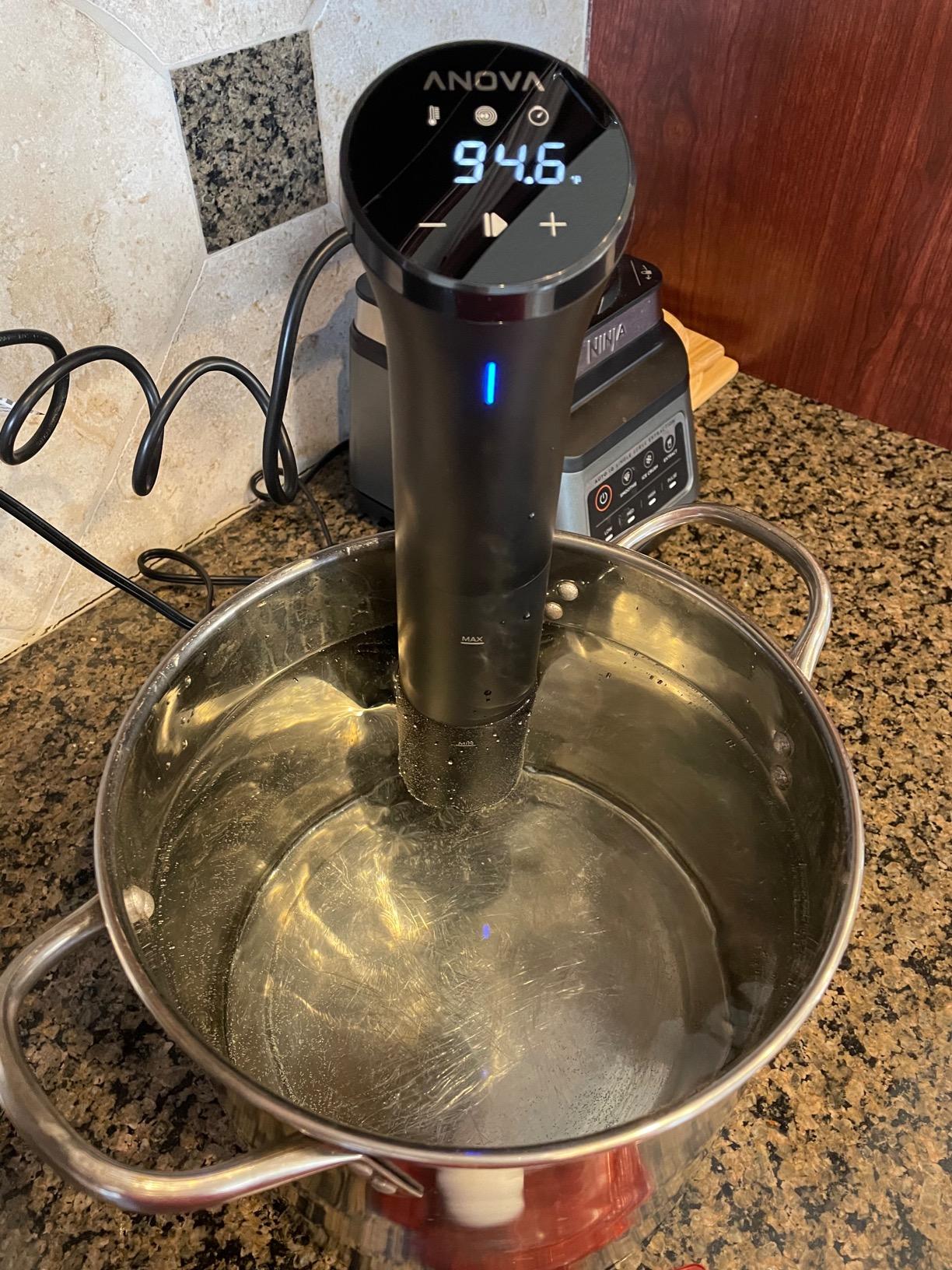 Anova Culinary Sous Vide Precision Cooker Nano 2.0 Customer Review Anova Culinary Sous Vide Precision Cooker Nano 2.0 - Customer Photo 2