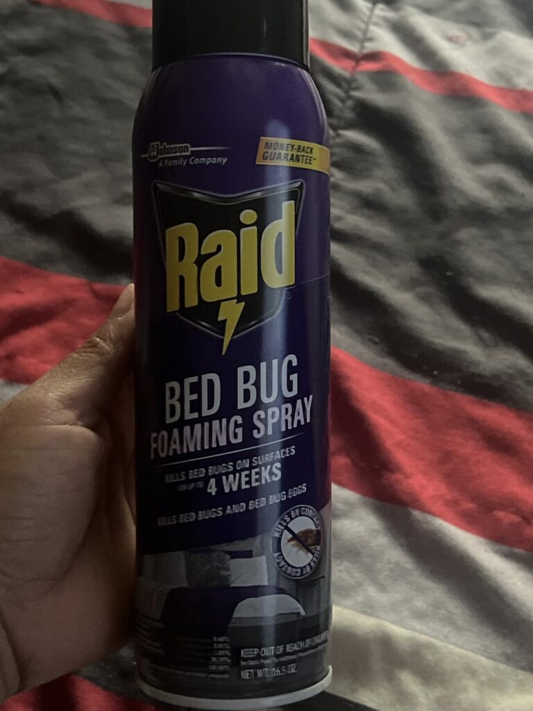 Best Bed Bug Sprays and Treatments