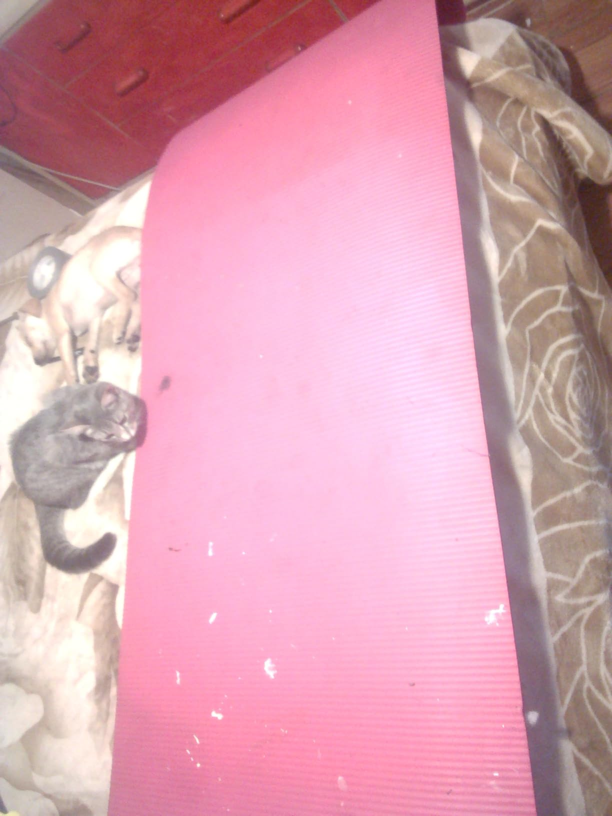 Gaiam Yoga Mat, Pilates & Exercise Mat, Thick Mat 2/5