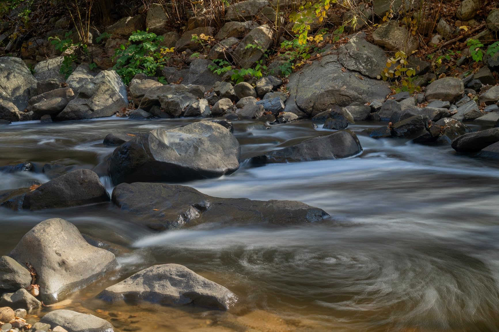 Nikon NIKKOR Z 24-70mm f/2.8 S | Professional large aperture mid-range zoom lens for Z series mirrorless cameras | Nikon USA Model - Customer Photo 1