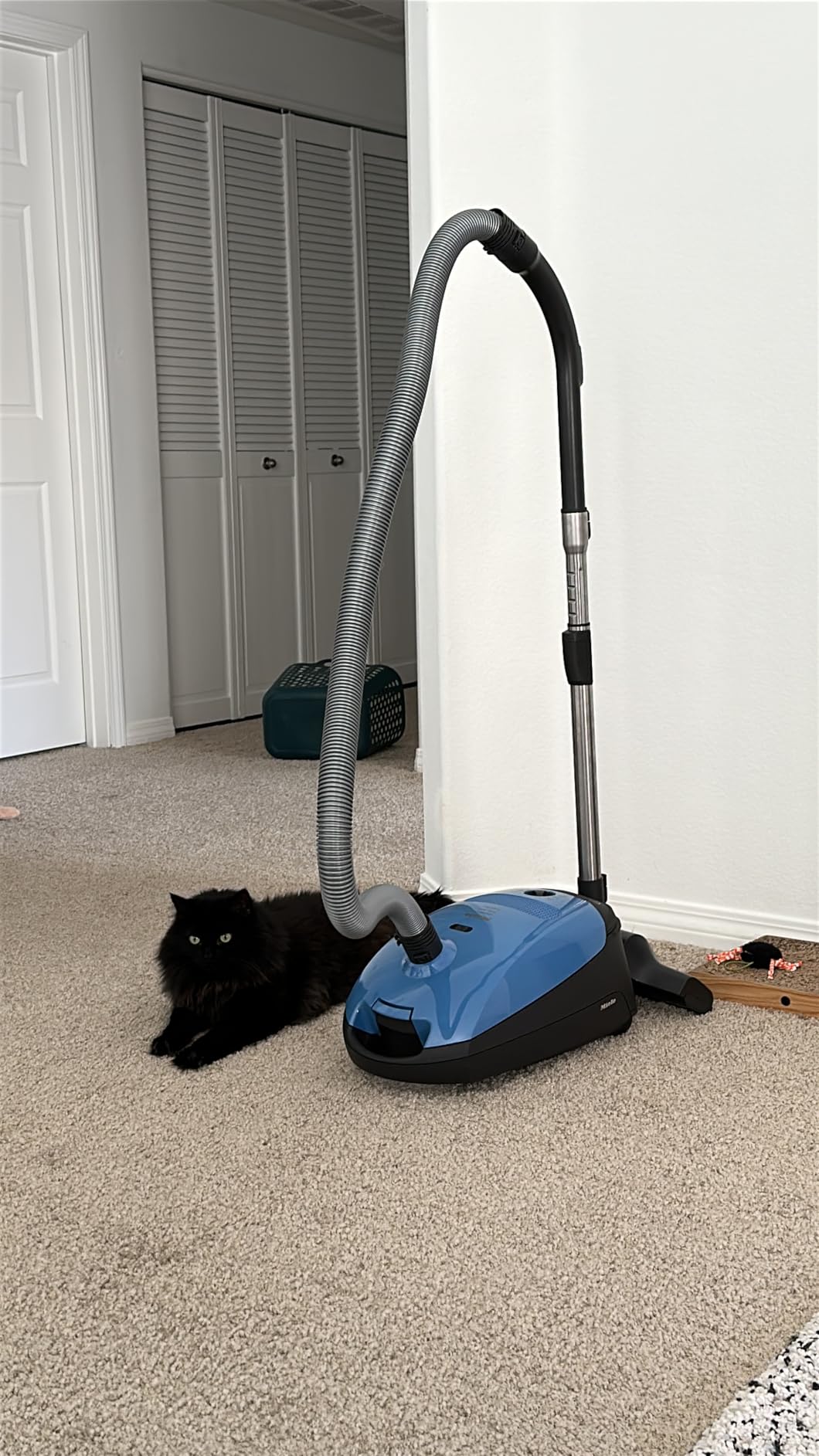Miele Classic C1 Turbo Team Bagged Canister Vacuum, Tech Blue - Portable, Household - Customer Photo 1