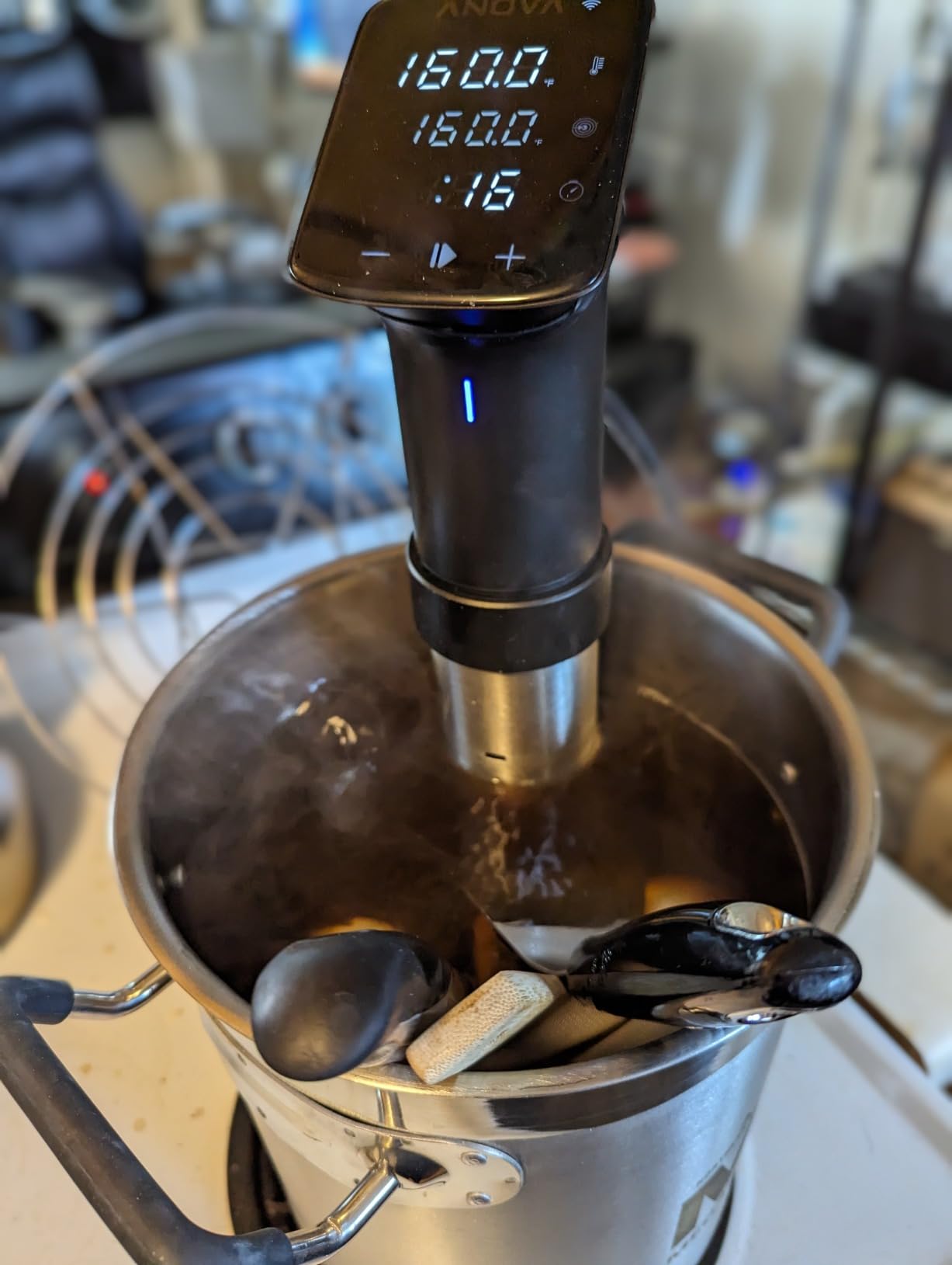 Anova Culinary Sous Vide Precision Cooker Pro, 1200 Watts, Black and Silver Customer Review Anova Culinary Sous Vide Precision Cooker Pro, 1200 Watts, Black and Silver - Customer Photo 2