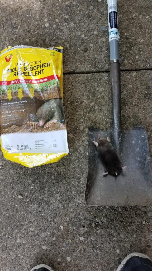 Best Mole and Gopher Repellents