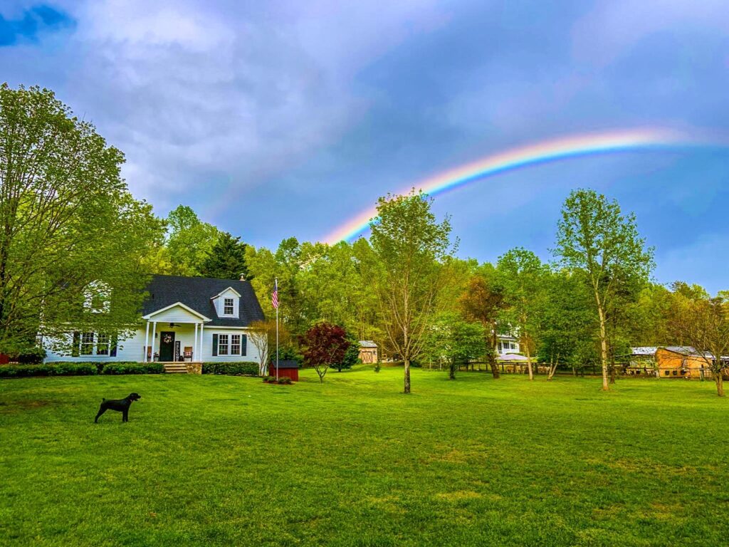 Best Electric Fence Kits for Pets