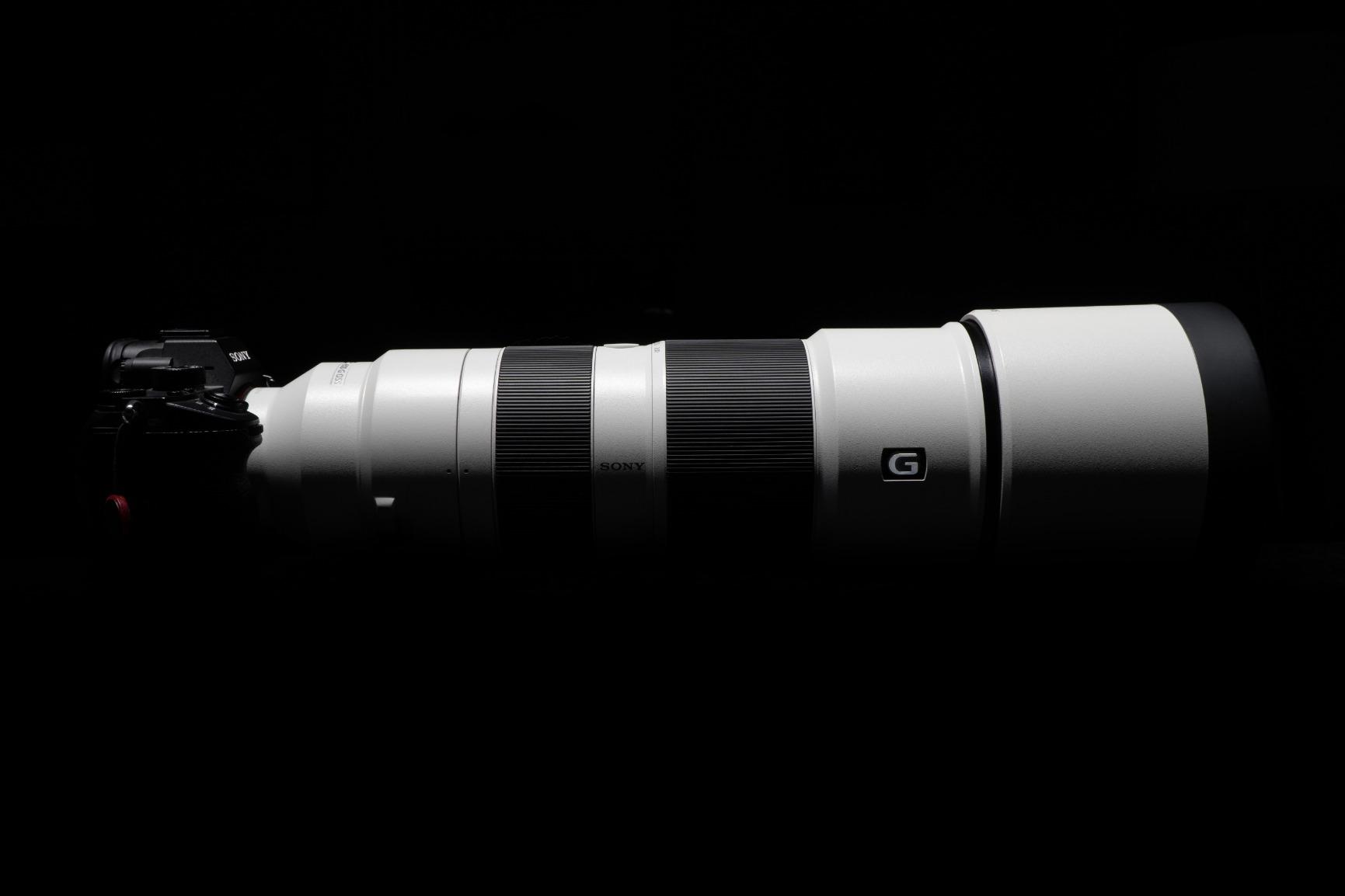 Sony FE 200-600mm F5.6-6.3 G OSS Super Telephoto Zoom Lens (SEL200600G) - Customer Photo 1
