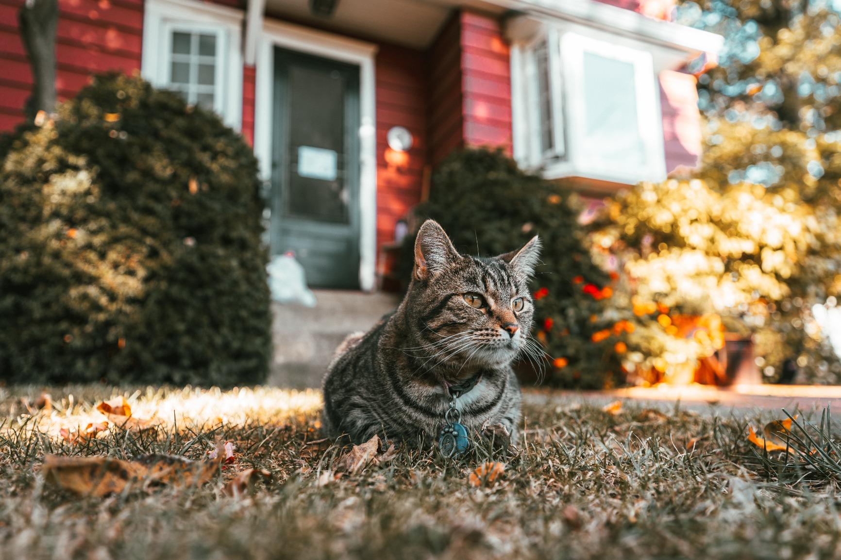 Tamron 17-28mm f/2.8 Di III RXD for Sony Mirrorless Full Frame/APS-C E Mount, Black (AFA046S700) - Customer Photo 2
