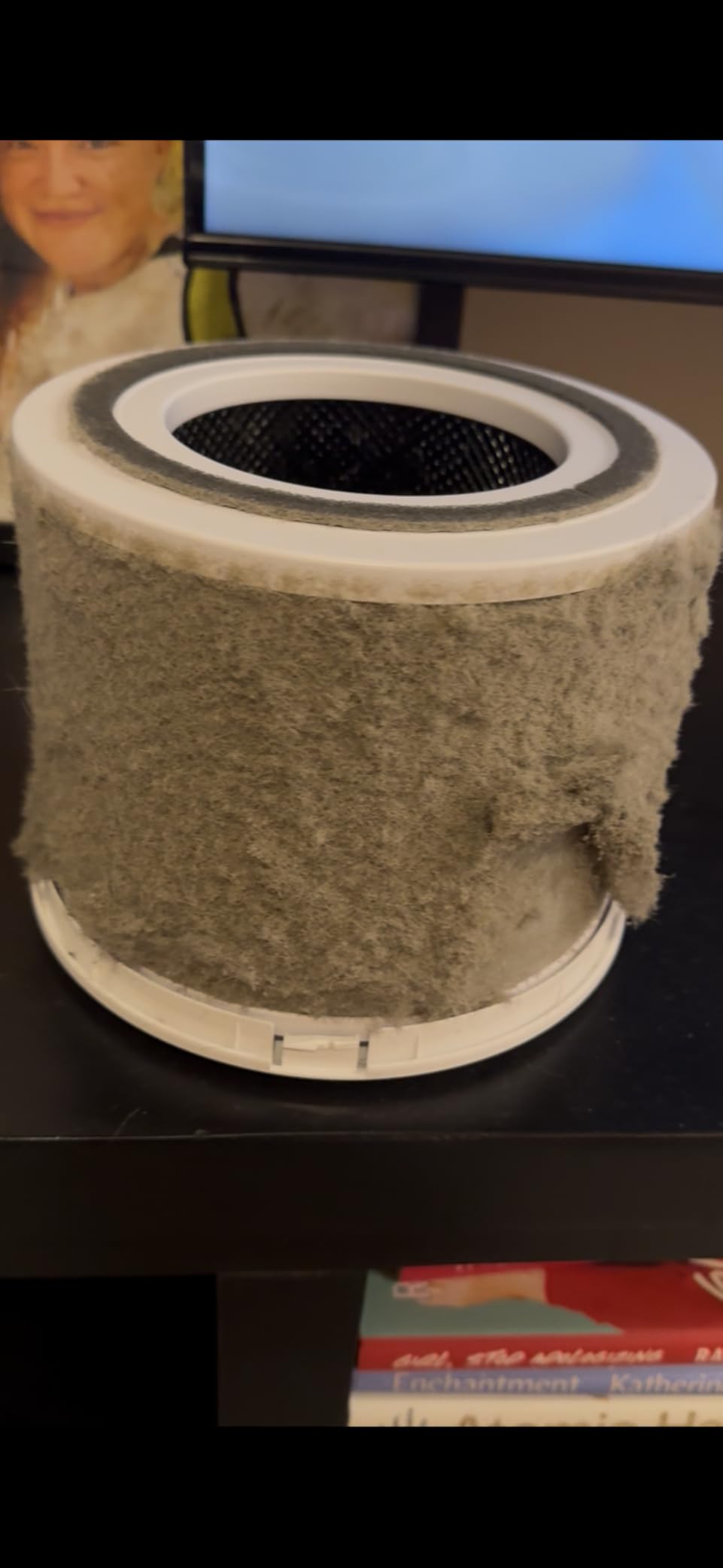 LEVOIT Air Purifier for Home Allergies Pet Hair in Bedroom, Covers Up to 1073 ft² by 56W High Torque Motor, AHAM VERIFIDE, 3-in-1 Filter with HEPA Sleep Mode, Remove Dust Smoke Odor, Core300-P, White customer photo 1