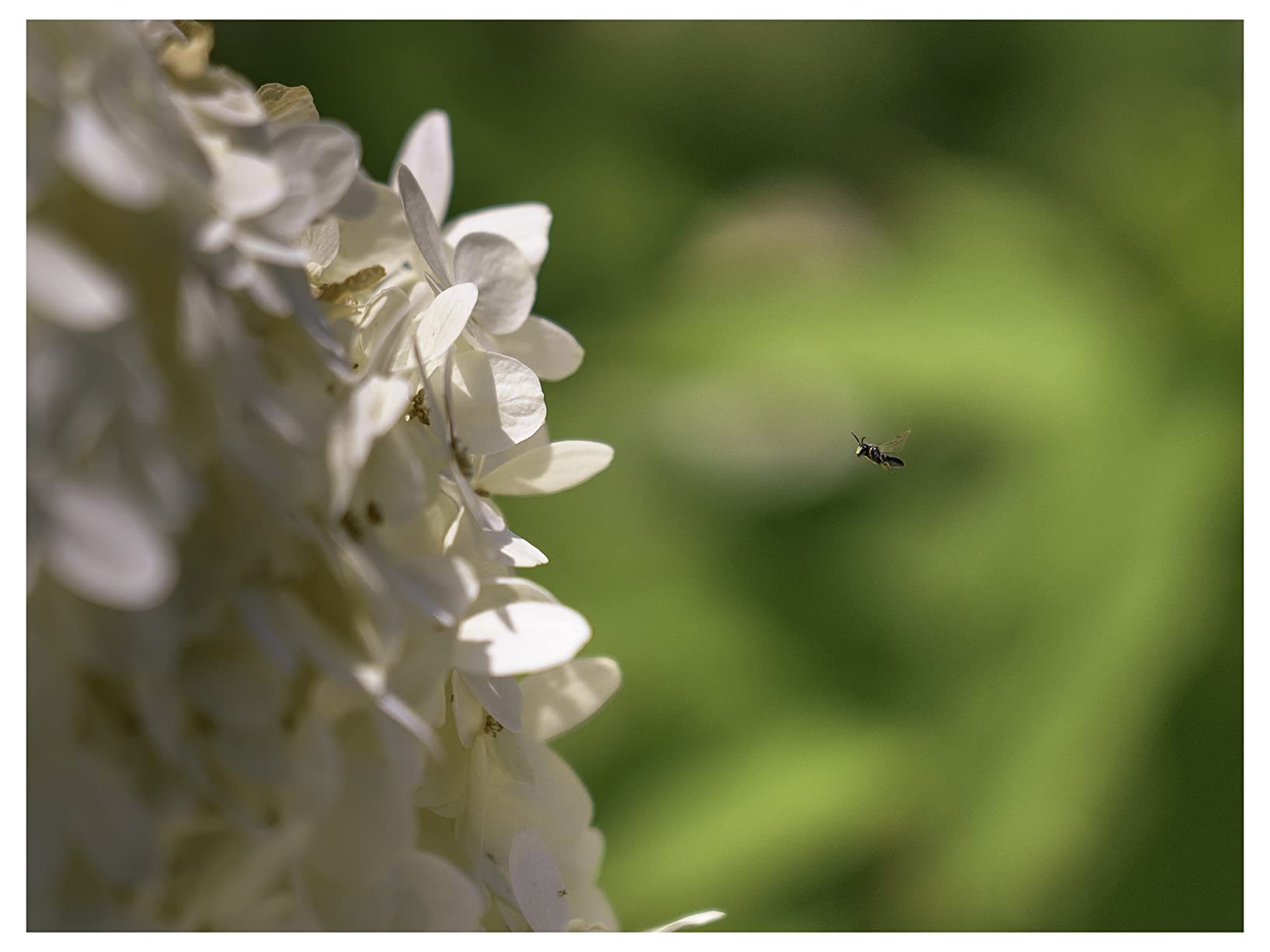 Sony - FE 24-105mm F4 G OSS Standard Zoom Lens (SEL24105G/2), Black Customer Review Sony - FE 24-105mm F4 G OSS Standard Zoom Lens (SEL24105G/2), Black - Customer Photo 2