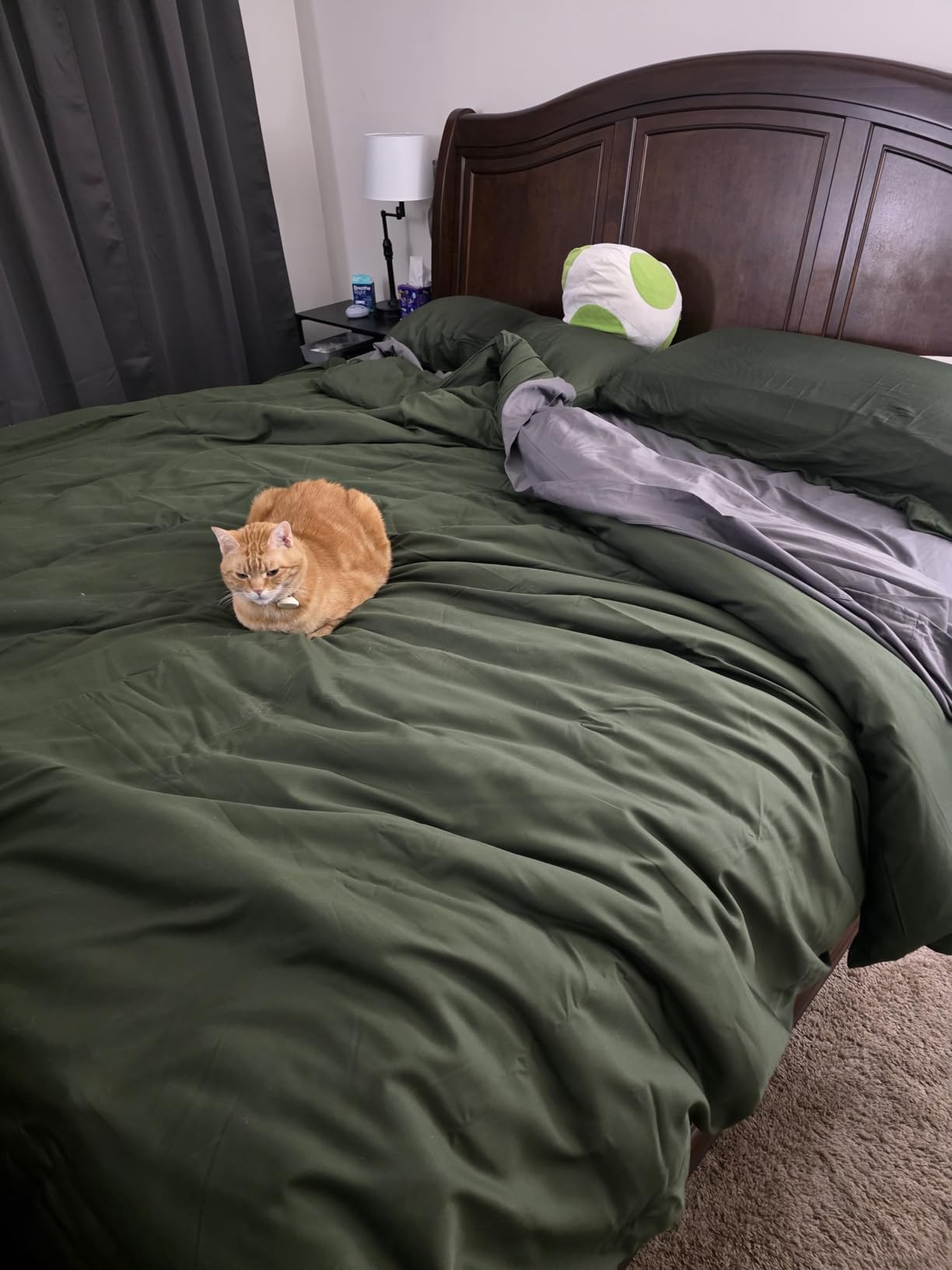 Bedsure Comforter Duvet Insert - Quilted Comforters Queen Size, All Season Duvet, GentleSoft Down Alternative Bedding Blanket, with 8 Tabs, White, Queen 88 x 88 Inches customer photo 1