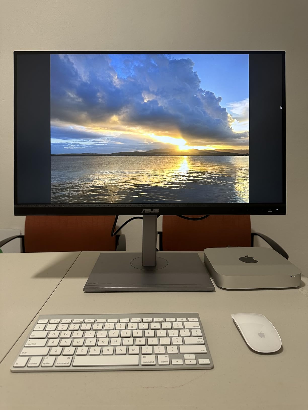 ASUS ProArt 24