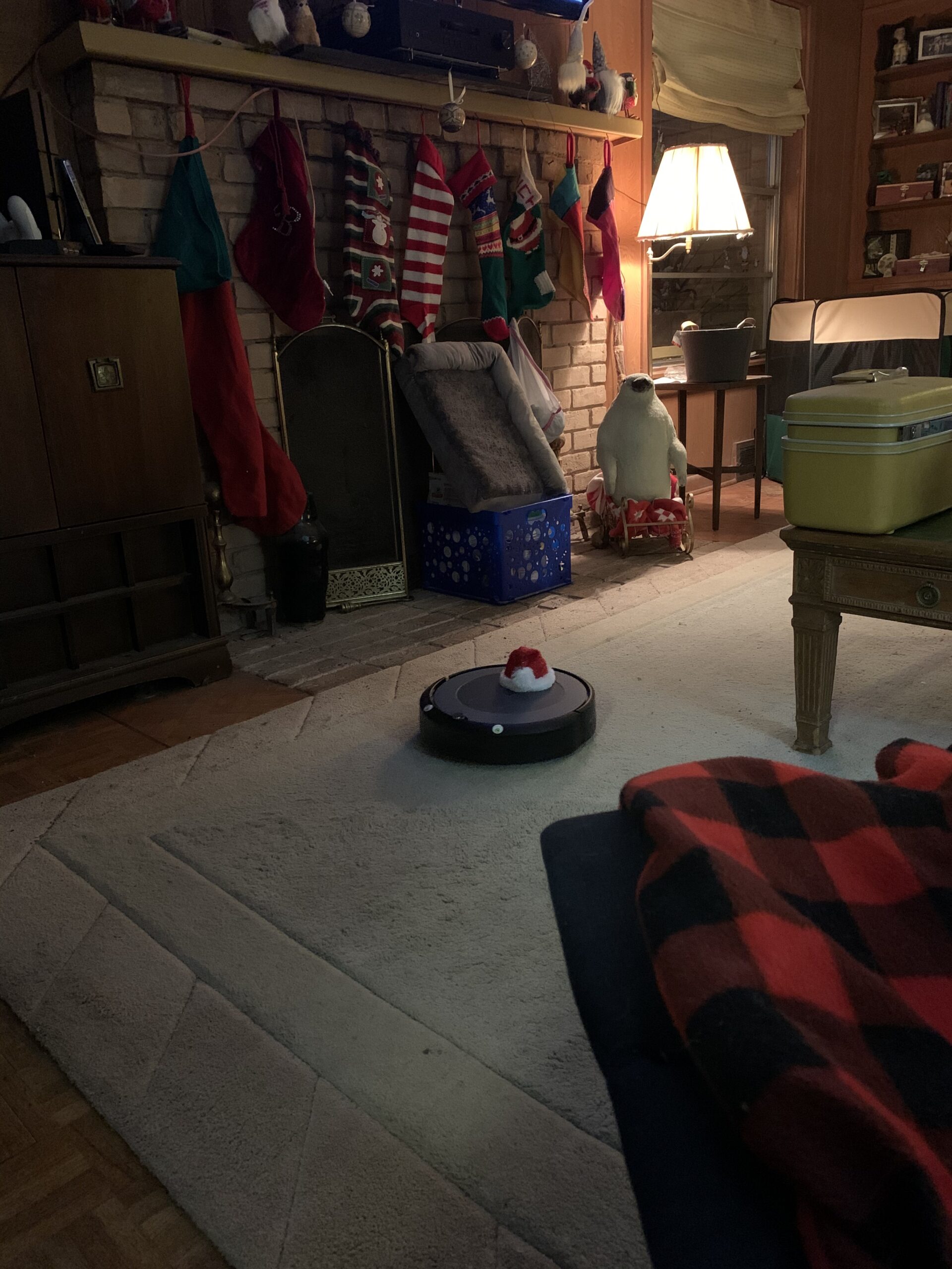 iRobot Roomba i3+ EVO (3550) Self-Emptying Robot Vacuum – Now Clean by Room with Smart Mapping, Empties Itself for Up to 60 Days, Works with Alexa, Ideal for Pet Hair, Carpets Customer Review iRobot Roomba i3+ EVO (3550) Self-Emptying Robot Vacuum – Now Clean by Room with Smart Mapping, Empties Itself for Up to 60 Days, Works with Alexa, Ideal for Pet Hair, Carpets - Customer Photo 1
