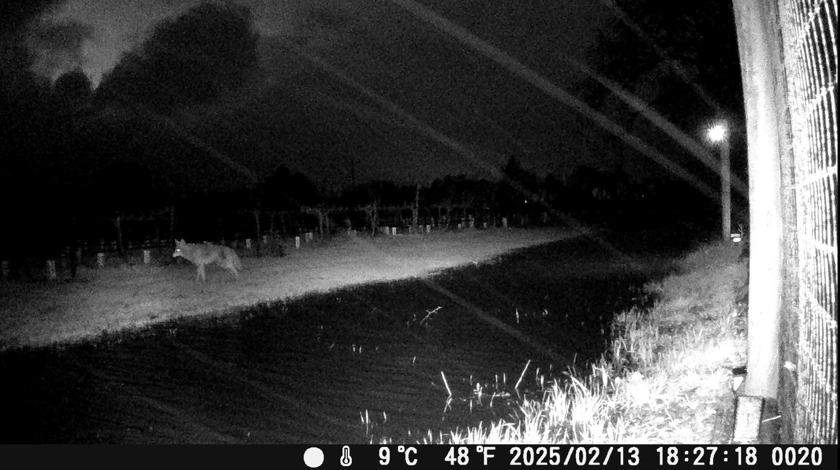 Vikeri Trail Camera, 4K 48MP Game Camera with Night Vision Motion Activated Waterproof 130°Wide-Angle, 0.05s Trigger Hunting Trail Cam with 48pcs No Glow Infrared LED for Wildlife Monitoring - Customer Photo 2
