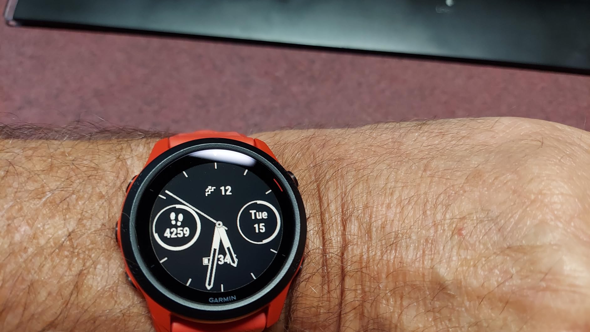 Garmin Forerunner 745, GPS Running Watch, Detailed Training Stats and On-Device Workouts, Essential Smartwatch Functions, Black Customer Review Garmin Forerunner 745, GPS Running Watch, Detailed Training Stats and On-Device Workouts, Essential Smartwatch Functions, Black - Customer Photo 2