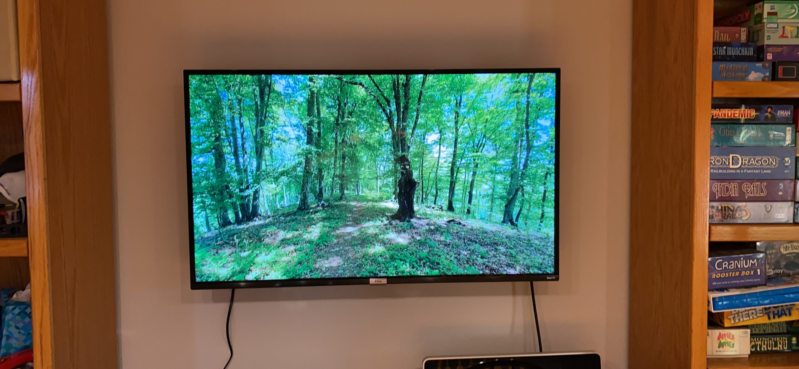 TCL 55