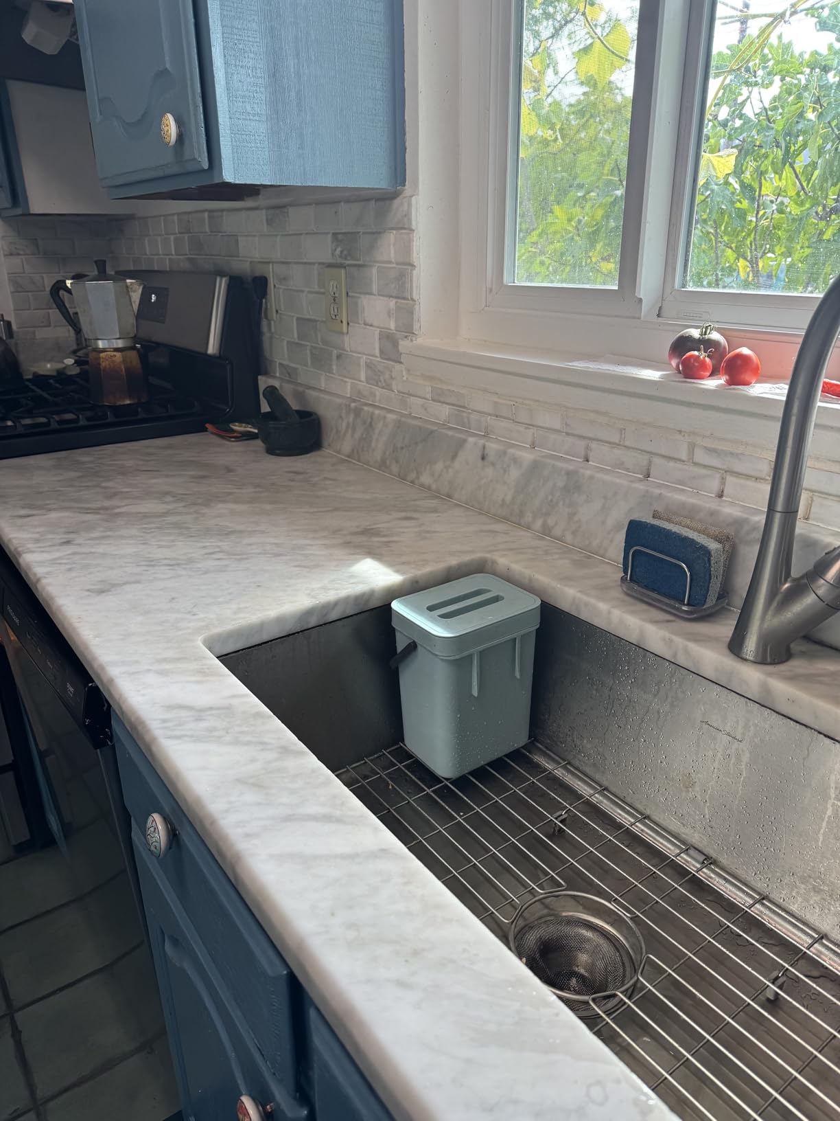 LALASTAR Compost Bin Kitchen, Small Compost Bin for Kitchen, Countertop Compost Bucket with Lid, Odorless Hanging Trash Can for RV/Office/Dog, Mini Food Waste Bin for Countertop, 3L/0.8 Gal, Blue Customer Review LALASTAR Compost Bin Kitchen, Small Compost Bin for Kitchen, Countertop Compost Bucket with Lid, Odorless Hanging Trash Can for RV/Office/Dog, Mini Food Waste Bin for Countertop, 3L/0.8 Gal, Blue - Customer Photo 2